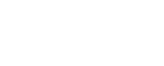 GT Autopeças